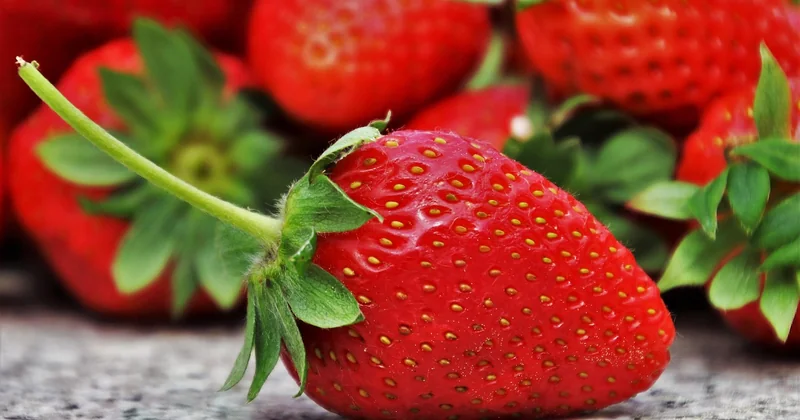 Comment remplacer les aliments interdits sans perdre en nutriments